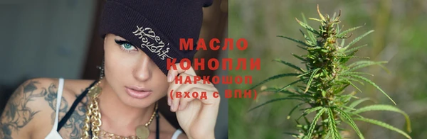 сатива Володарск
